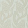 Persian Tulip 312998
